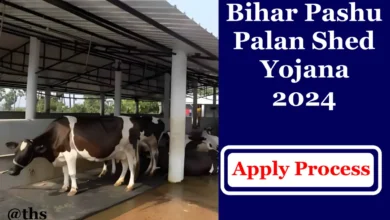 Bihar Pashu Palan Shed Yojana