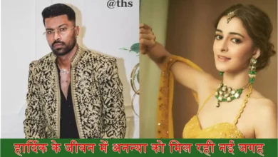 Natasha Hardik Divorce