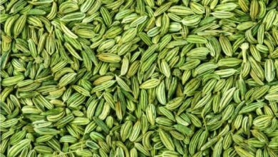 Loose Weight From Fennel Seeds