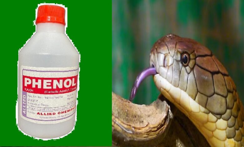 Liquid for snakes