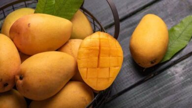 Benefits of Mango