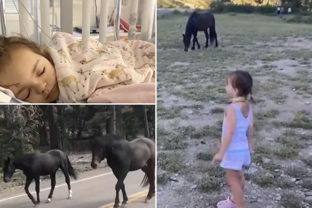 Nevada toddler kicked in head by wild horse in chilling video