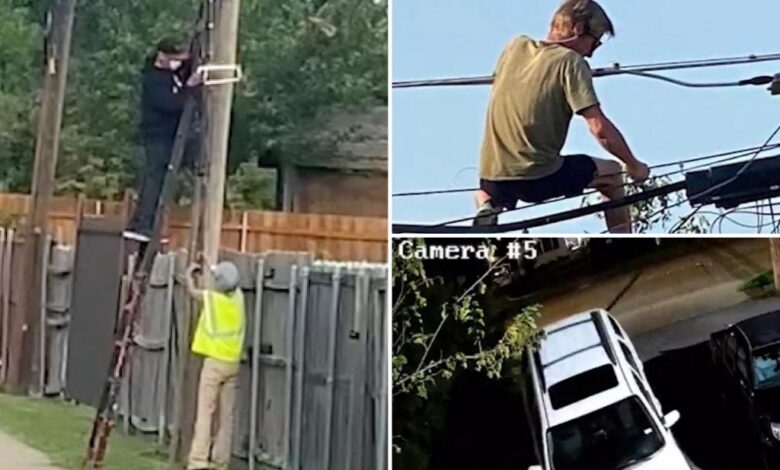 Texas police say thieves swiping copper off power lines 'right before your eyes:' 'They’ll go to any length'