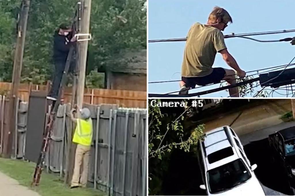 Texas police say thieves swiping copper off power lines 'right before your eyes:' 'They’ll go to any length'