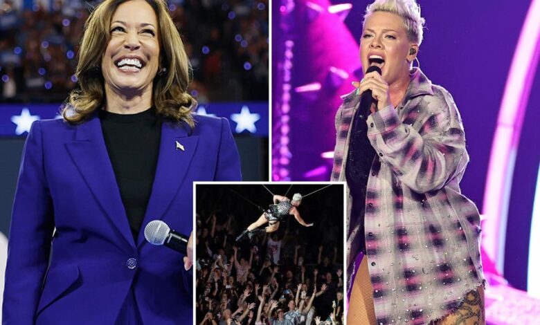 P!nk expected to perform ahead of Kamala Harris DNC speech