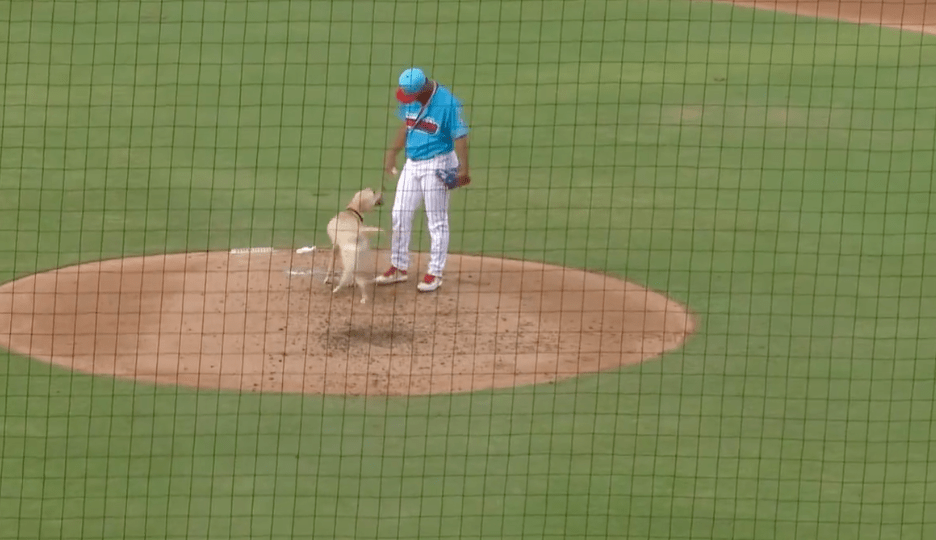 Lucy May even said hello to the team's pitcher.