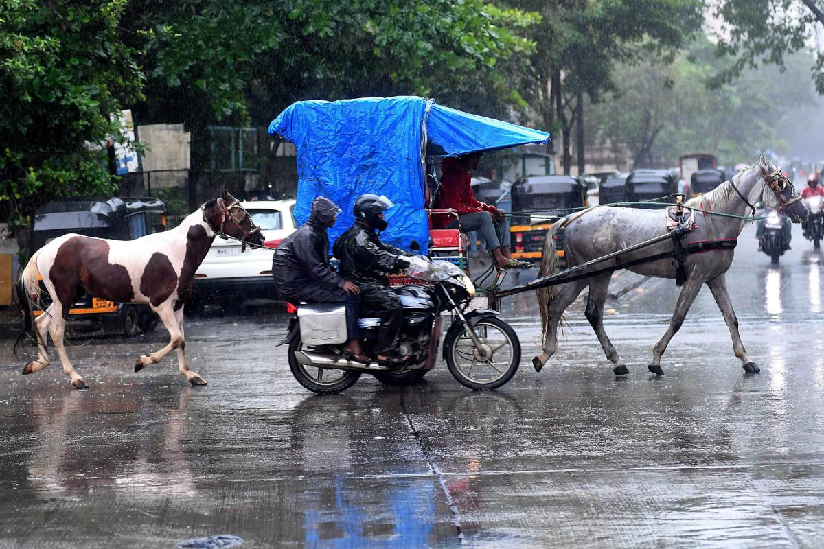 Weather Update: उत्तर प्रदेश समेत देश के इन हिस्सों में होगी तेज बारिश, IMD ने जारी किया पूर्वानुमान