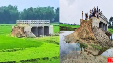 बिहार सरकार की बड़ी लापरवारी, न रोड, न नदी, बीच खेत में बना डाला 3 करोड़ खर्च में 40 मीटर लंबा पुल