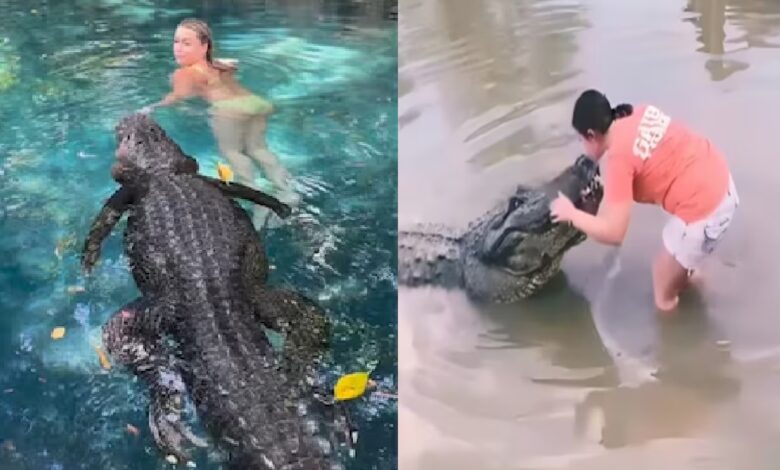 Girl seen in love with crocodile